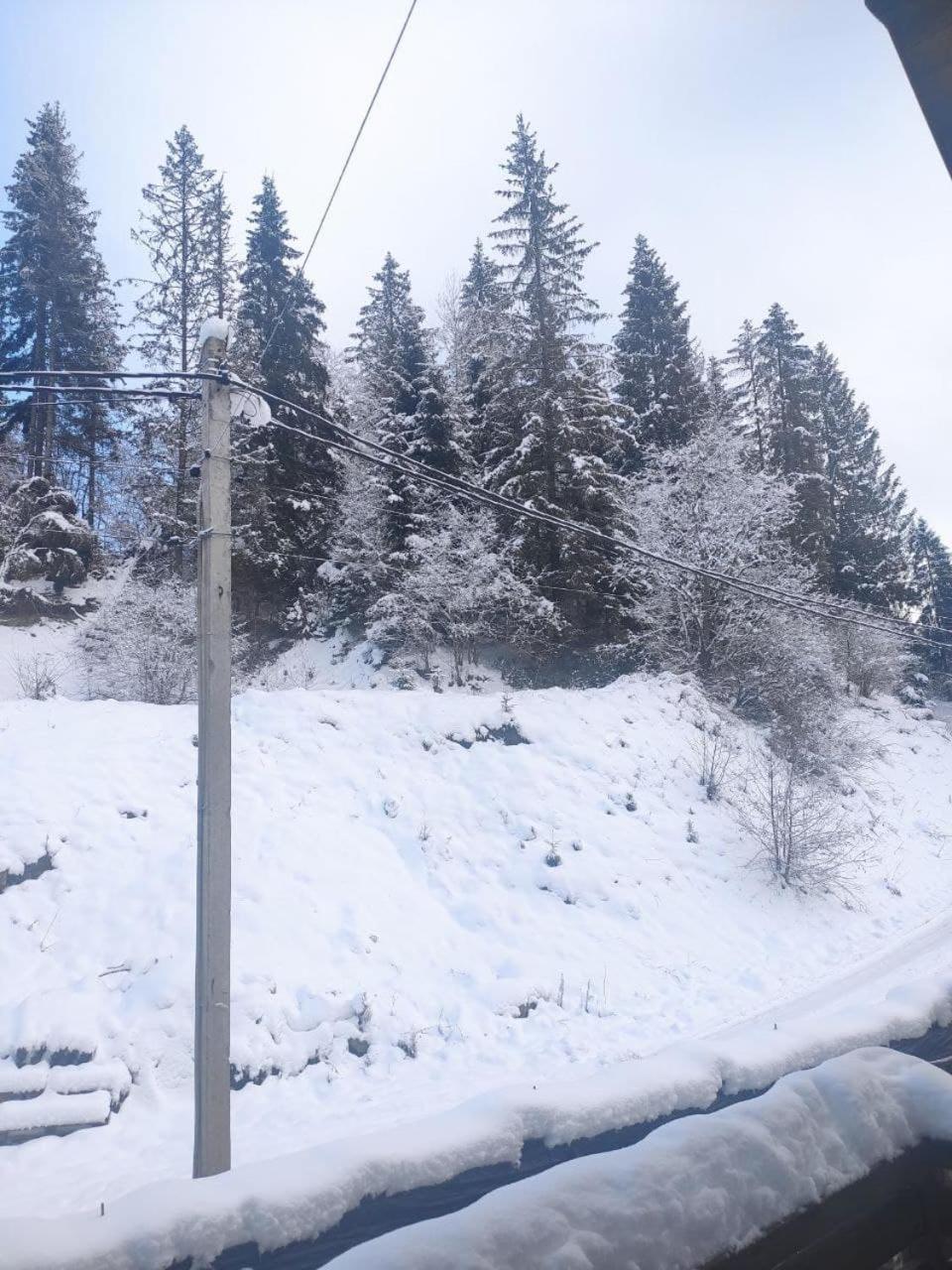 Na Gorbi Hotel Slavske Værelse billede