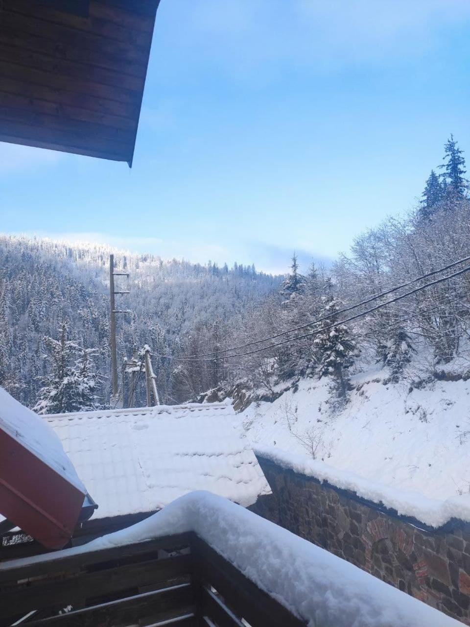 Na Gorbi Hotel Slavske Værelse billede